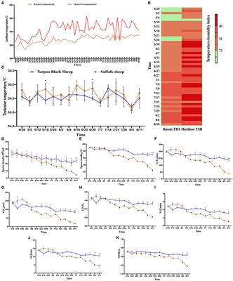 The Mechanism of Heat Stress Resistance During Spermatogenesis in Turpan Black Sheep